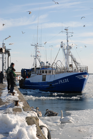 Kutter Strandby Havn, vinter